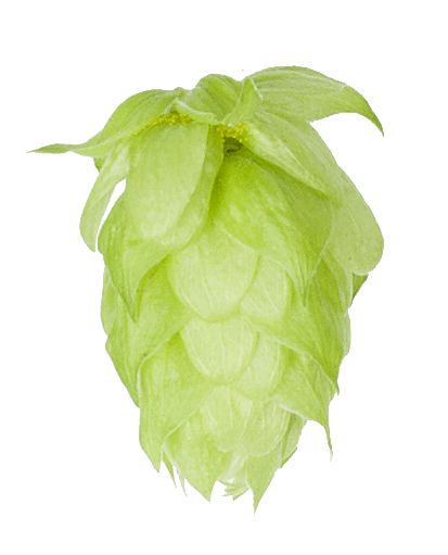 Lublin Hop Pellets