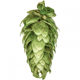 UK Bitter Gold Hop Pellets