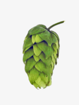 Nobella Hop Pellets 