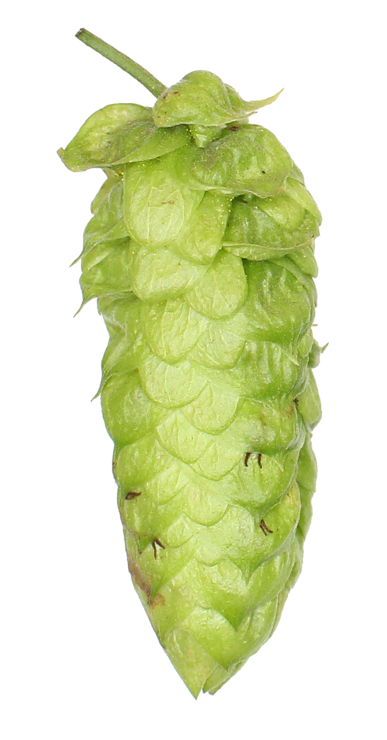 Bravo Hop Pellets
