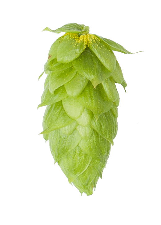 Magnum Hop Pellets
