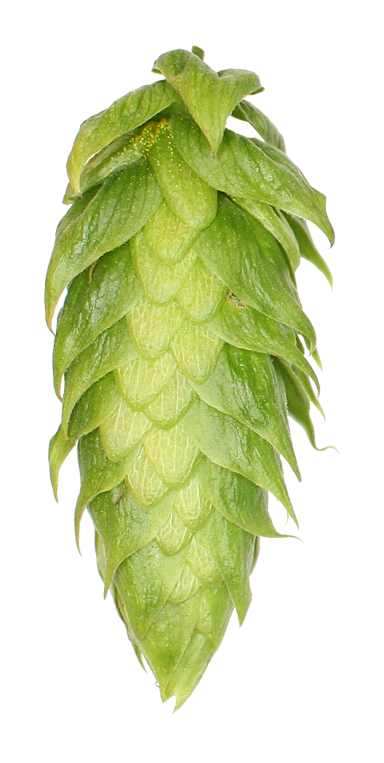 Challenger Hop Pellets