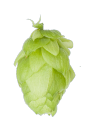 Saphir Hop Pellets