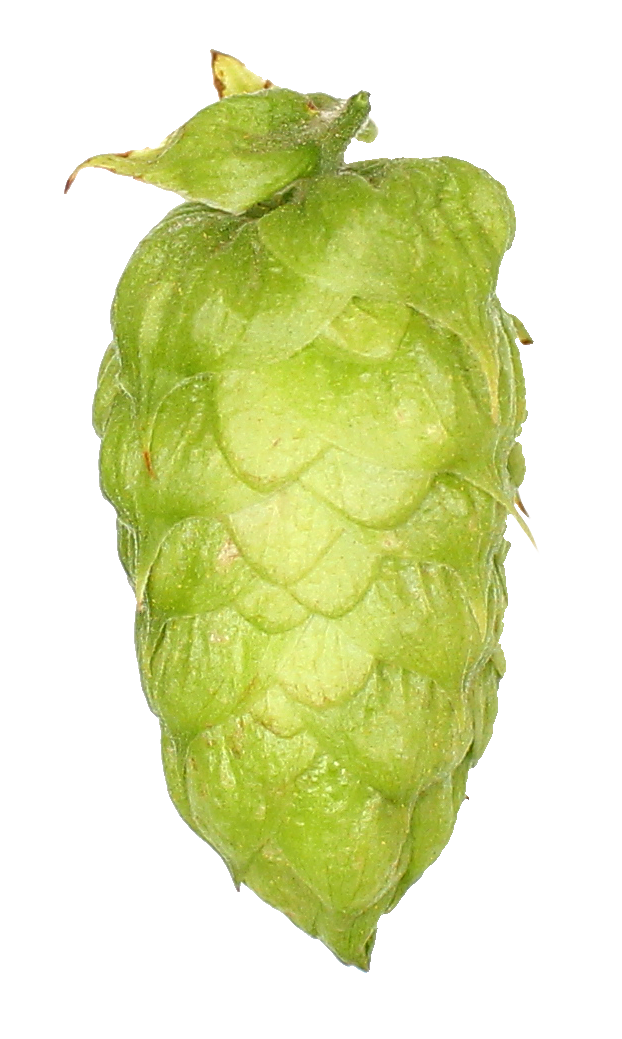 Nelson Sauvin Hop Pellets