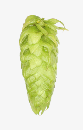 Melba Hop Pellets