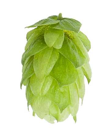 Columbus Leaf