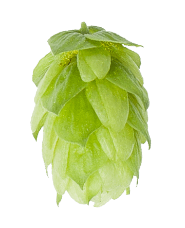 Hersbrucker Hop Pellets