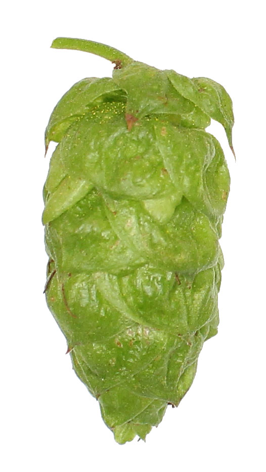 Apollo Hop Pellets