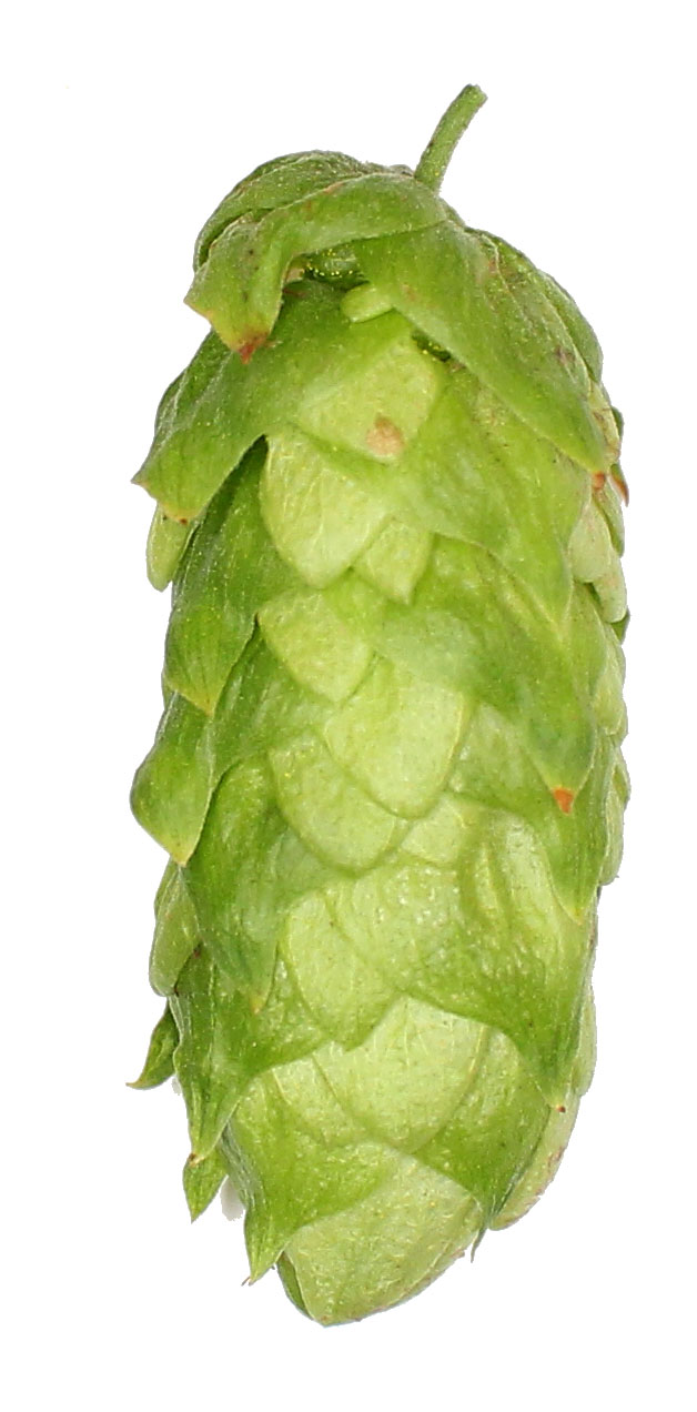 Progress Hop Pellets