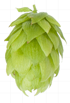 Aurora Hop Pellets