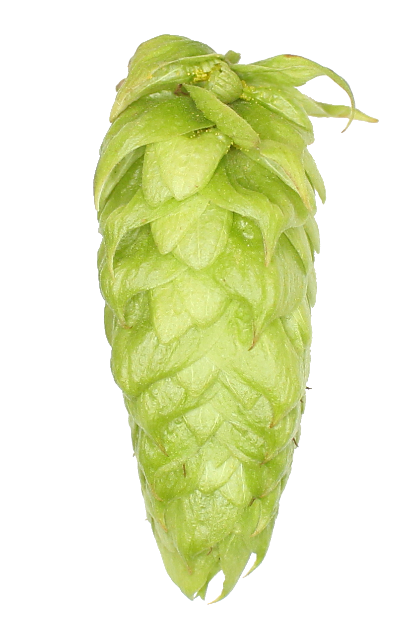 Azacca Hop Pellets