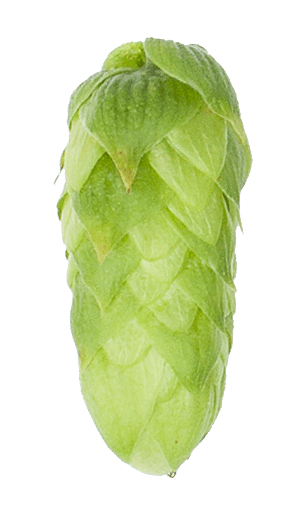 Hallertau Blanc Hop Pellets