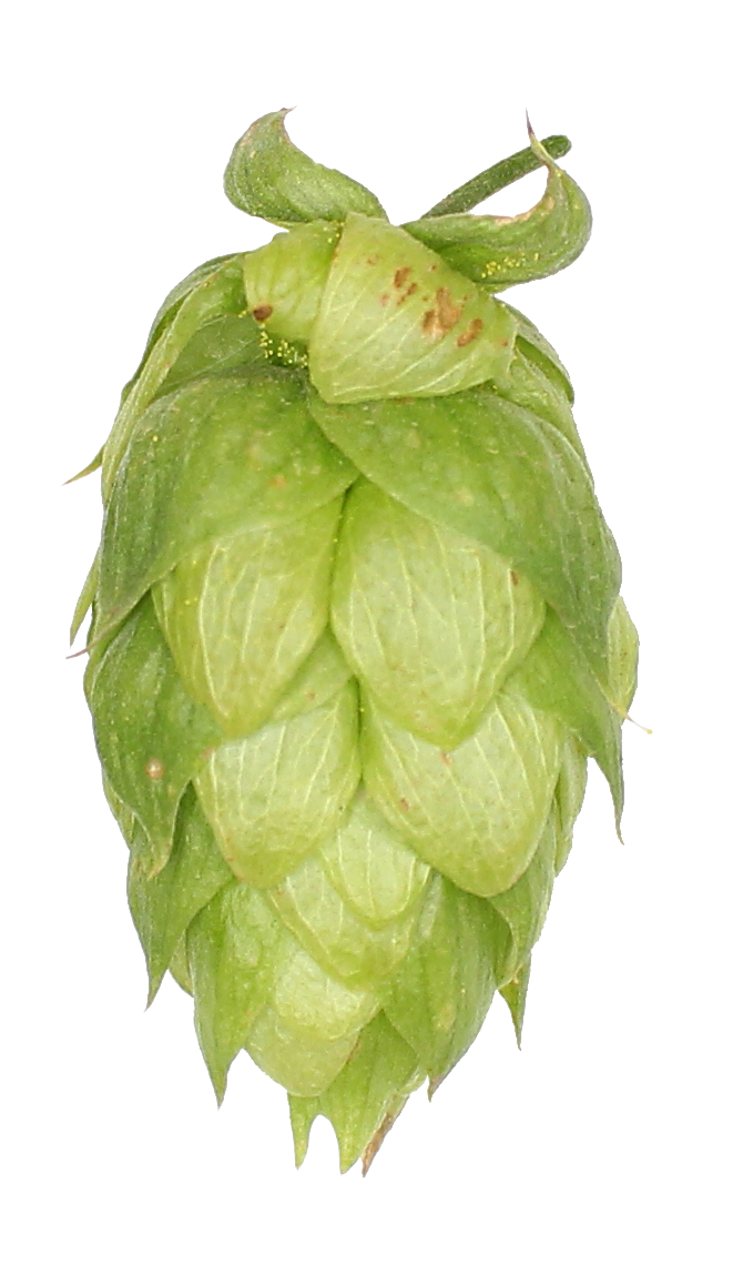 Mount Hood Hop Pellets