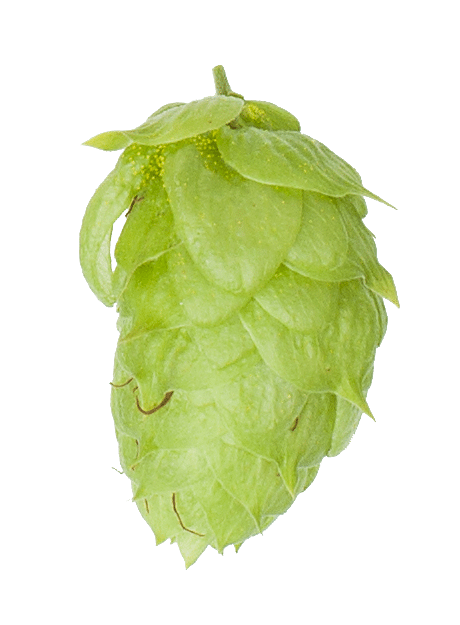 Nugget Hop Pellets