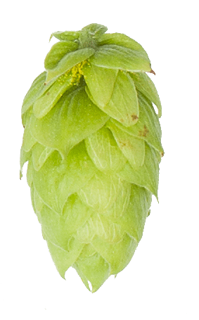 Tradition Hop Pellets