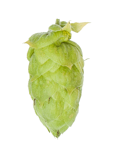 Polaris Hop Pellets