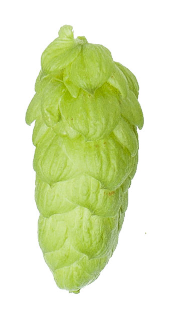 Target Hop Pellets