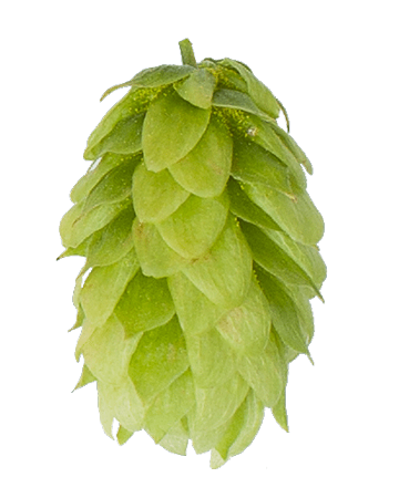 Mittelfruh Hop pellets