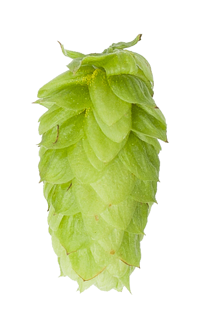 Tettnang Hop Pellets