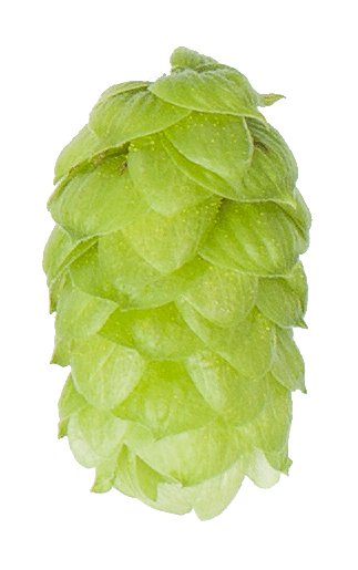 Bramling Cross Hop Pellets