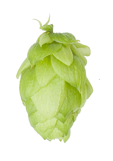 Saphir Leaf